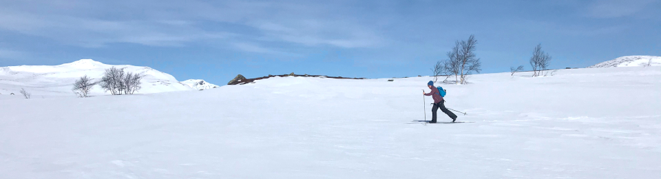 Galå Fjällgård panorama